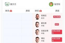 pg中国官网-匈牙利客场大胜爱尔兰，士气高涨