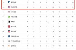 pg中国官网-波鸿客场负于对手，积分榜位置受挑战