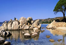 pg电子官方-卡尔蒂斯小将表现抢眼，劲旅添新力量