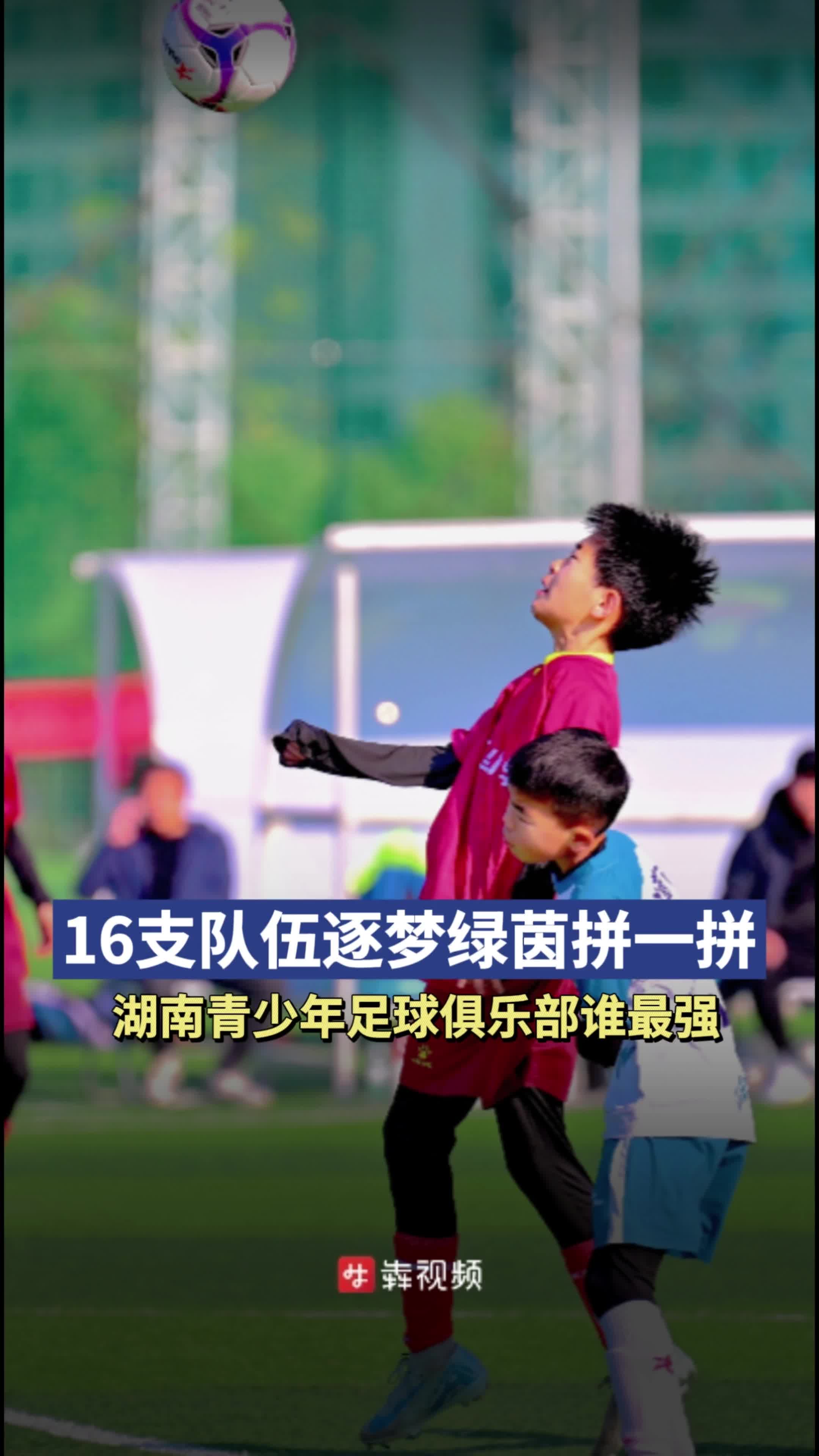 湖南队表现不俗，奋力追赶排名提升的简单介绍