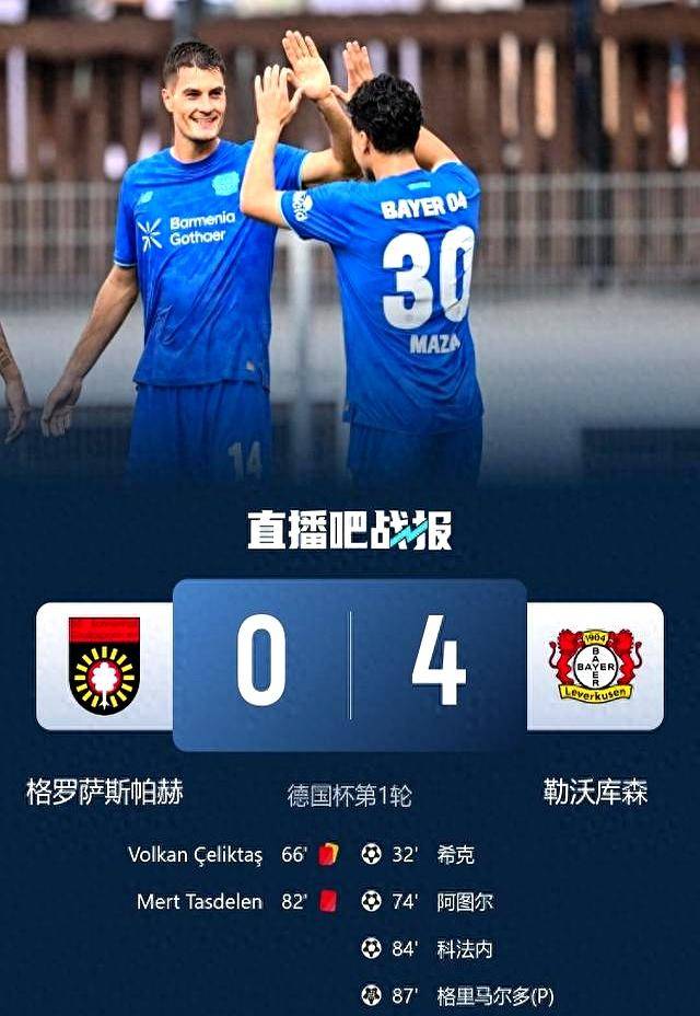 勒沃库森队员表现出色助球队获得胜利 勒沃库森队员表现出色助球队获得胜利