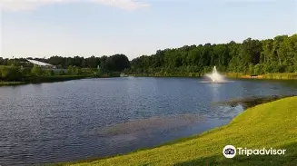 关于切斯特菲尔德客场不敌米德尔斯堡,保级压力巨增的信息 关于切斯特菲尔德客场不敌米德尔斯堡,保级压力巨增的信息