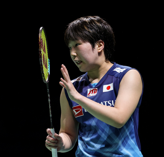 印度队绝杀法国队，戴资颖点燃赛场的简单介绍